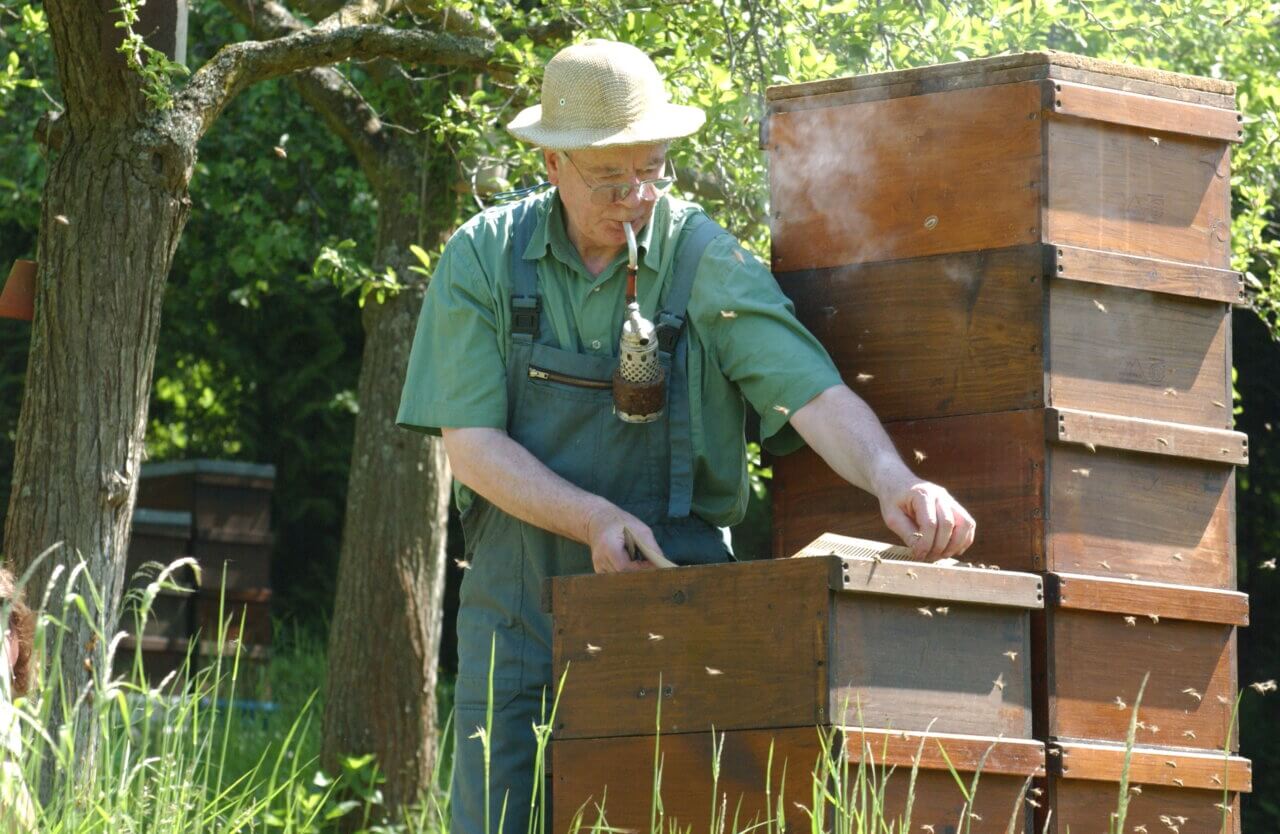 Galeriebild Dienstleistungszentrum ländlicher Raum WW-OE (DLR) Fachzentrum für Bienen und Imkerei Landesbehörde