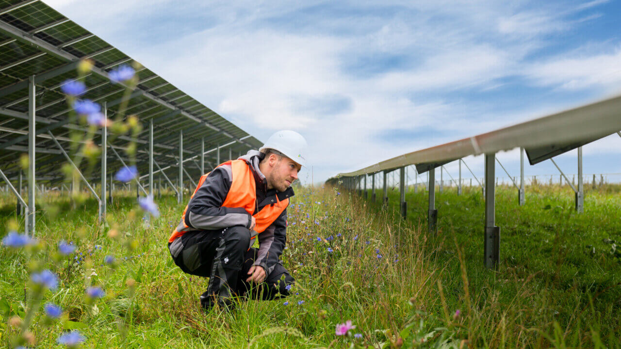 Galeriebild BayWa r.e. Operation Services GmbH