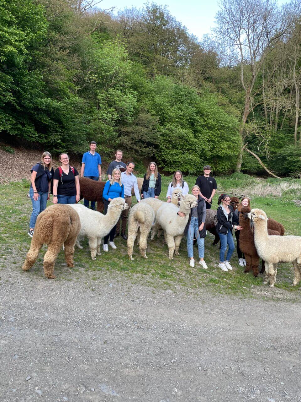 Galeriebild Finanzamt Mayen 