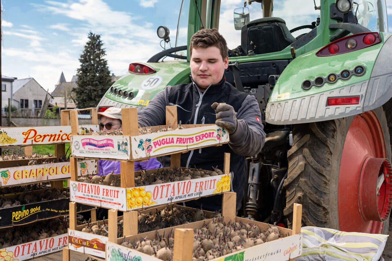 Galeriebild Kartoffelhof Landvogt 