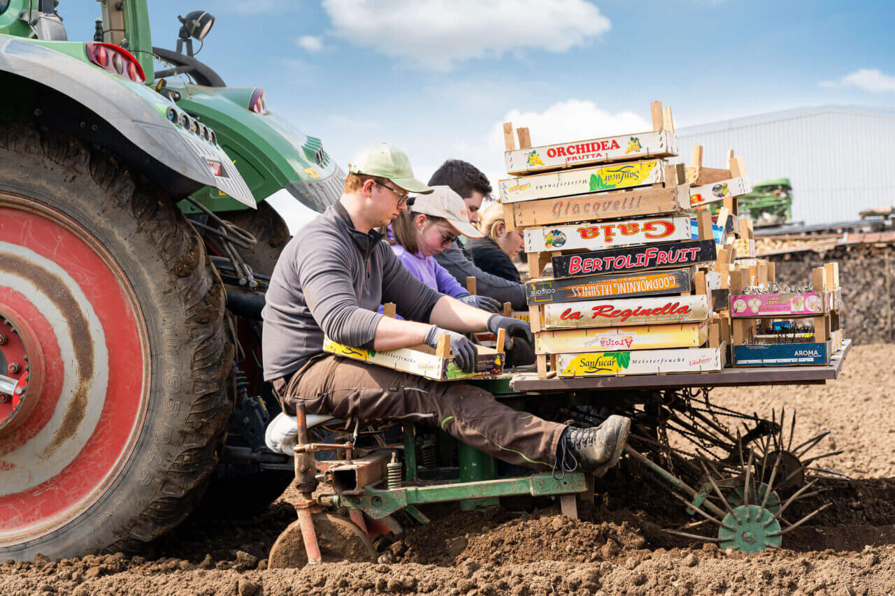 Galeriebild Kartoffelhof Landvogt 
