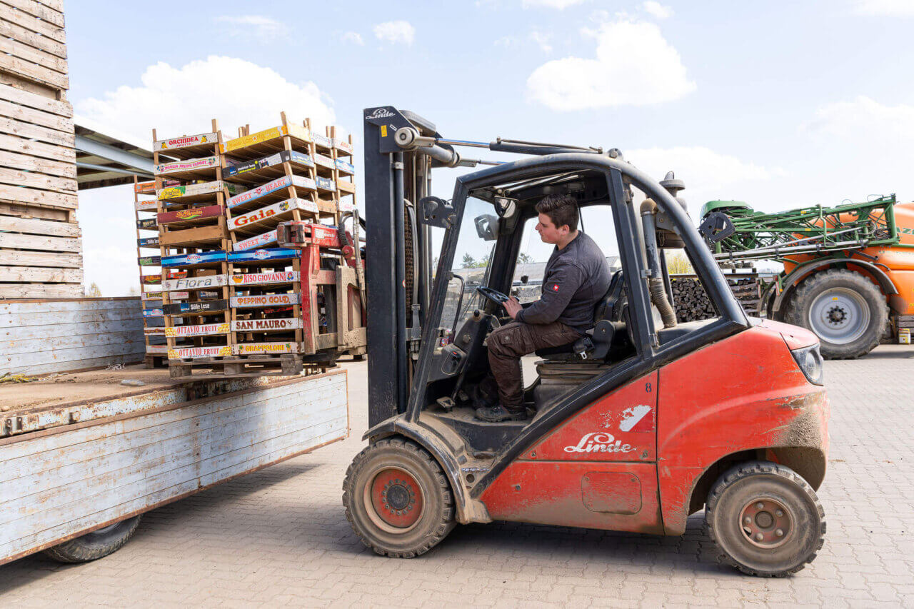 Galeriebild Kartoffelhof Landvogt 