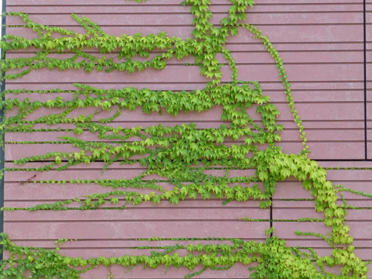 Galeriebild Betonsteinwerk Eschenauer GmbH & Co. KG