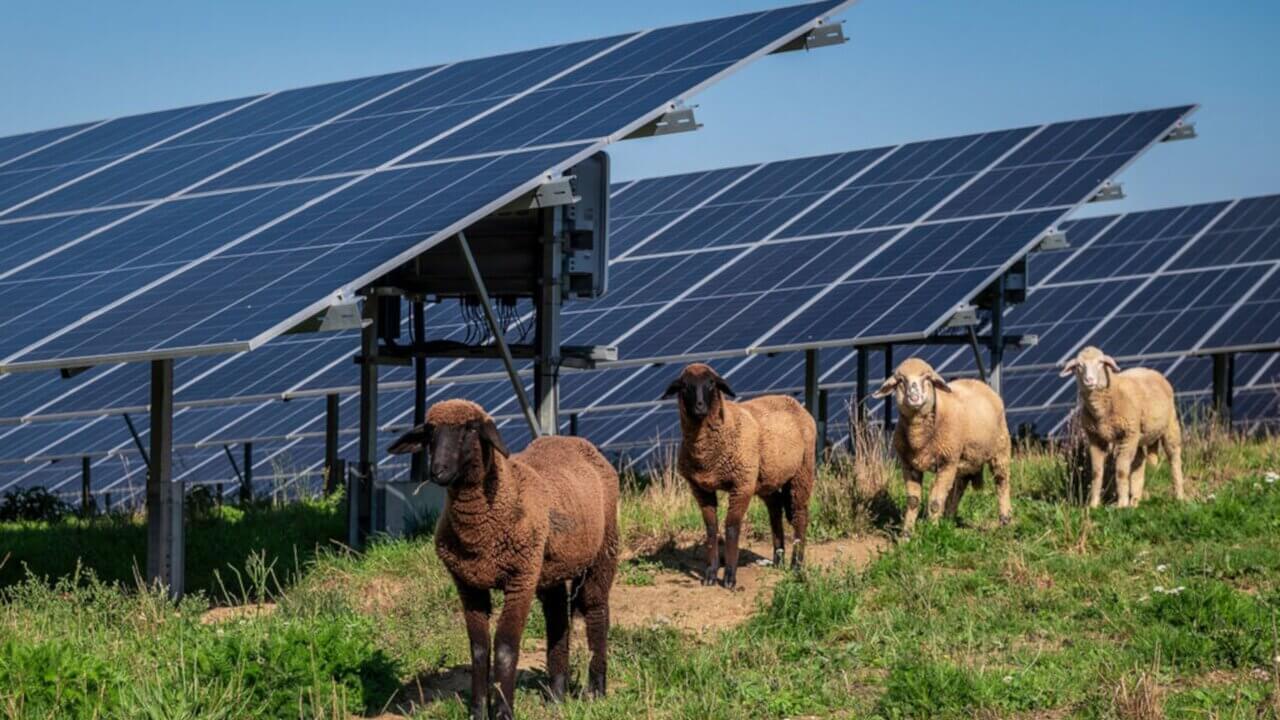 Galeriebild BayWa r.e. Operation Services GmbH