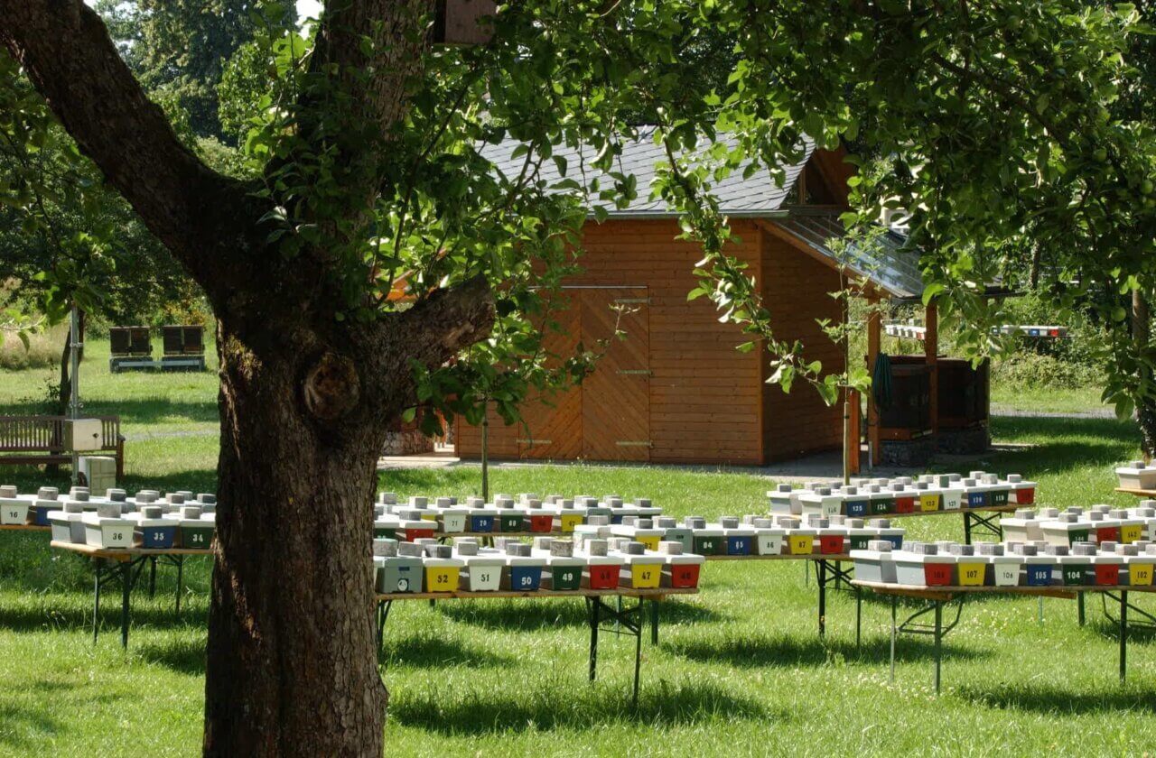 Galeriebild Dienstleistungszentrum ländlicher Raum WW-OE (DLR) Fachzentrum für Bienen und Imkerei Landesbehörde